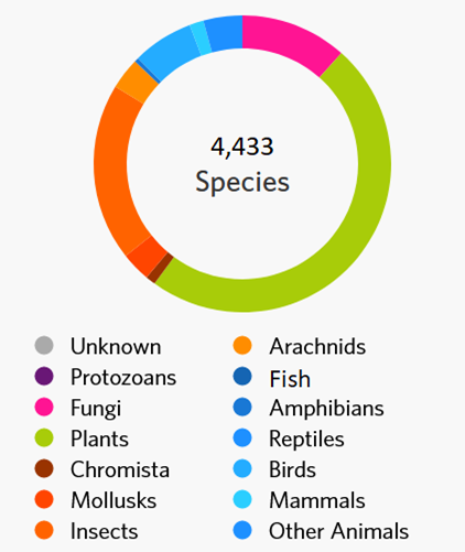 number of different species